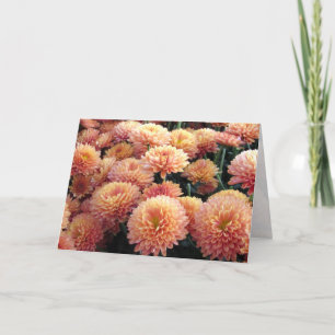 Cartão de Saudação Chrysanthemum