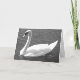 Cartão de saudação - Cisne a preto e branco