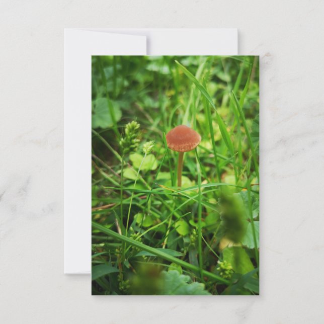 cartão de saudação cogumelo (Frente)