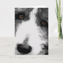 Cartão de Saudação Collie Eyes