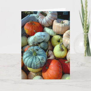 Cartão de saudação colorido para abóboras