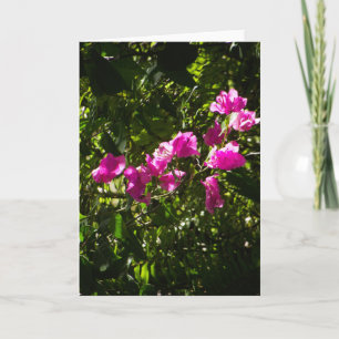Cartão de saudação com capa floral rosa