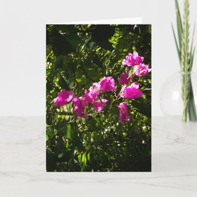 Cartão de saudação com capa floral rosa (Frente)