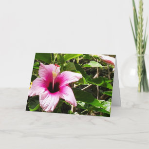 Cartão de saudação com capa floral rosa