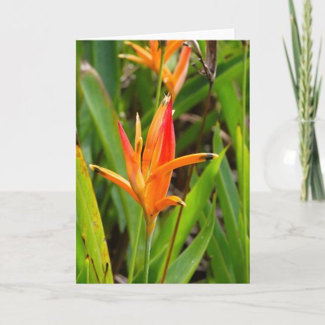 Cartão de saudação com flores laranja na capa (Frente)
