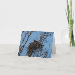 Cartão de Saudação com Problemas de Águia Dupl