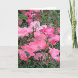 Cartão de Saudação com Rosas Rosa