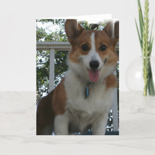 Cartão de Saudação Corgi
