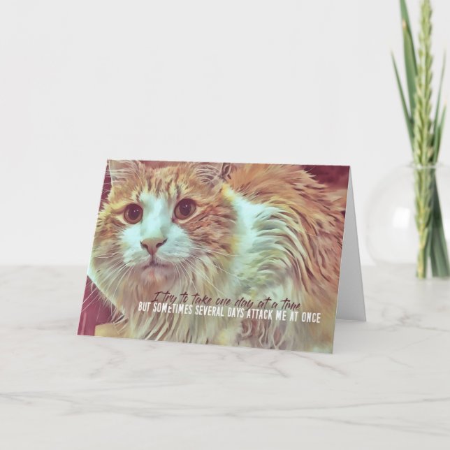 Cartão de Saudação CURIOSO (Frente)