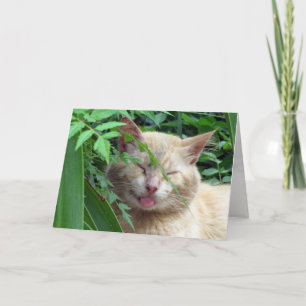 Cartão de Saudação da Besta