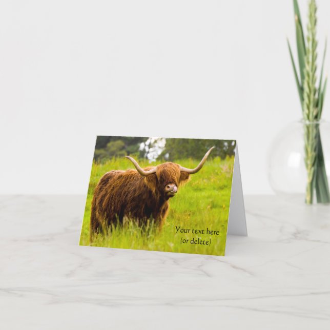 Cartão de saudação da Highland Cow (Frente)