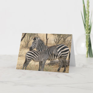Cartão de Saudação da Mãe e Bebê Zebra