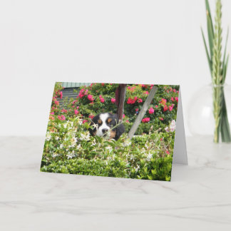 Cartão de saudação da Nação Berner