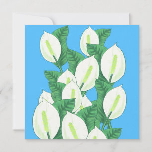 Cartão de Saudação da Peace Lily Illustration