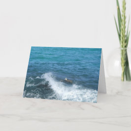 cartão de saudação da tartaruga (encorajamento)