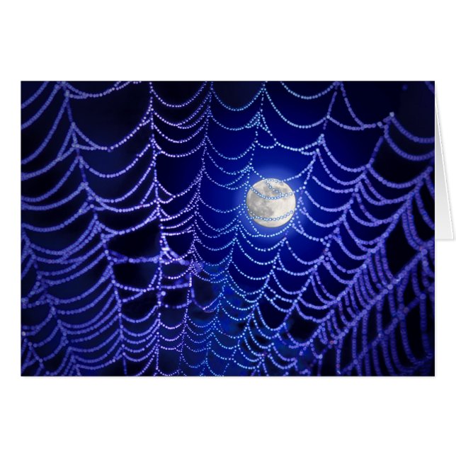 Cartão de saudação da web de lua e aranha (Frente Horizontal)