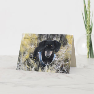 Cartão de Saudação Dachshund