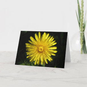 Cartão de Saudação Dandelion
