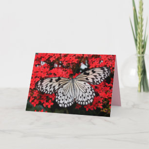 cartão de saudação das asas da borboleta