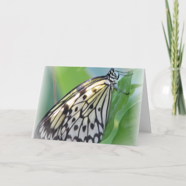 Cartão de Saudação das Asas da Borboleta (Frente)