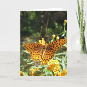 Cartão de Saudação das Asas de Curiosidade (3)