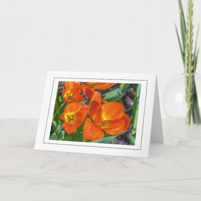 Cartão de saudação das flores cor de laranja-claro (Frente)