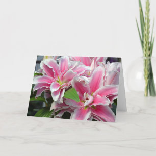 Cartão de saudação das flores lírios, cor-de-rosa