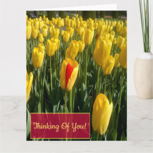 Cartão de saudação das tulipas amarelas