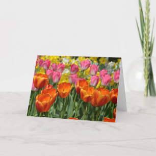 Cartão de saudação das tulipas de primavera cor-de