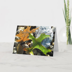 Cartão de Saudação de Ação de Graças