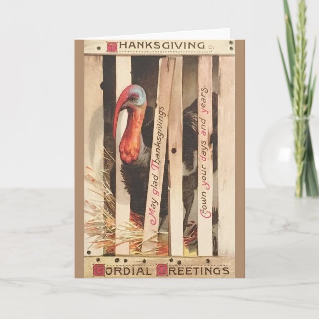 Cartão de Saudação de Ação de Graças para a Turqui (Frente)