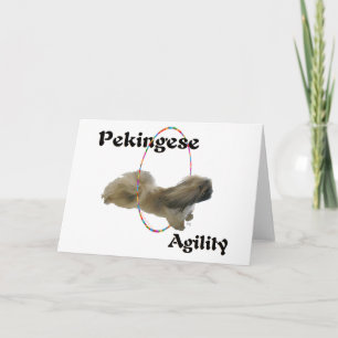 Cartão de Saudação de Agilidade Pekingese