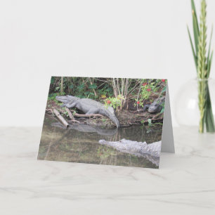 Cartão de Saudação de Alligador Americano