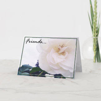 Cartão de Saudação de Amigos 2