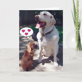 Cartão de Saudação de Amor (com Cães)