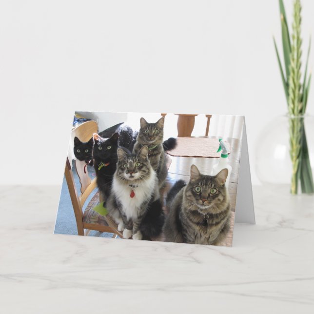 Cartão de Saudação de Aniversário da Gang (Frente)