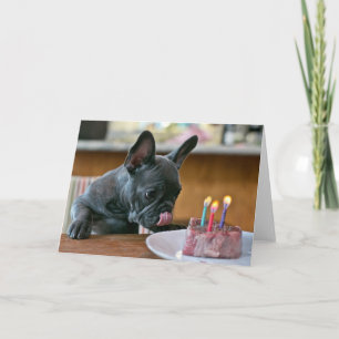 Cartão de Saudação de Aniversário de Galinha