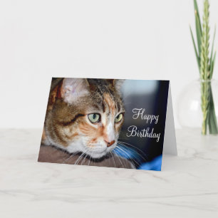 Cartão de saudação de aniversário de gato