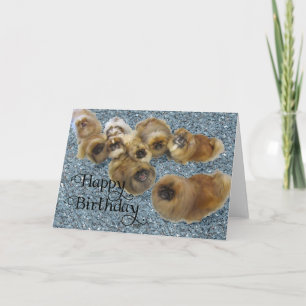 Cartão de Saudação de Aniversário de Pekingese