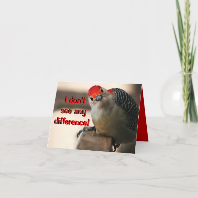 Cartão de Saudação de Aniversário Humorístico (Frente)