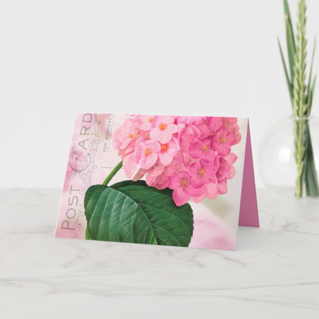 Cartão de Saudação de Aniversário para o Hydrangea (Frente)