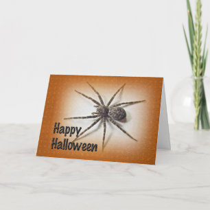 Cartão de Saudação de Aranha Spooky Halloween