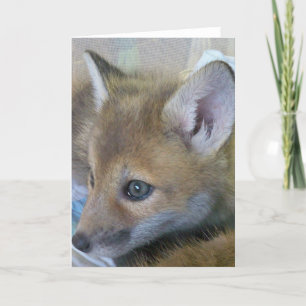 Cartão de Saudação de Bebê Fox
