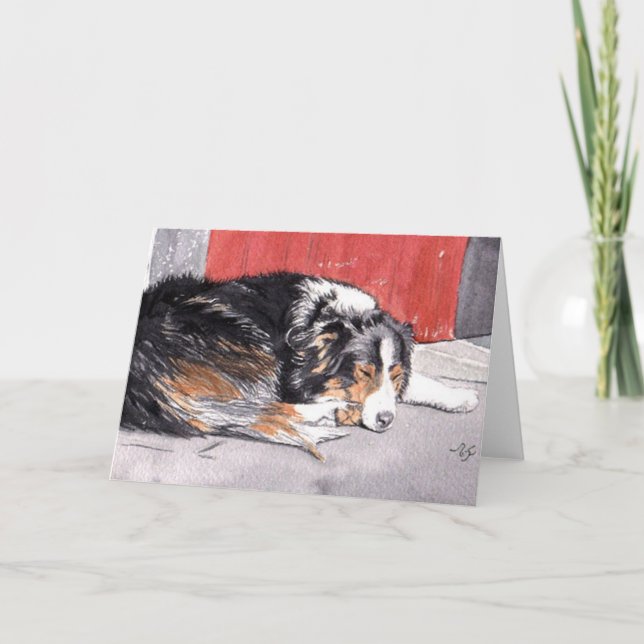 Cartão de Saudação de Borda Collie (Frente)