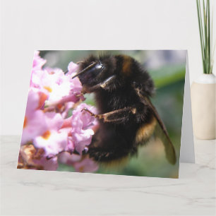 Cartão de Saudação de Bumblebee e Flores Rosa Ocup