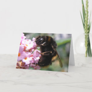 Cartão de Saudação de Bumblebee e Flores Rosa Ocup