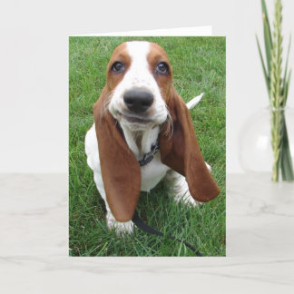 Cartão de Saudação de Caça-Caça Goofy Basset