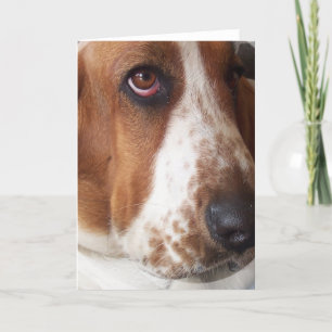 Cartão de Saudação de Cachorro de Cachorro