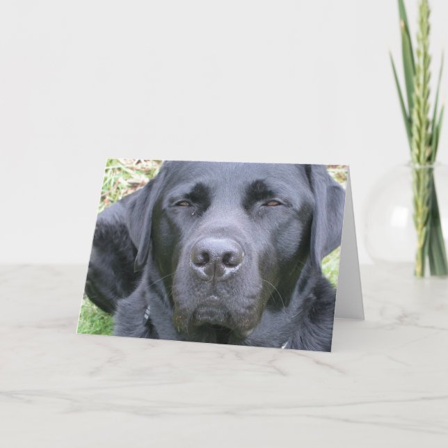 Cartão de Saudação de Cachorro do Retriever Labrad (Frente)