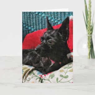 Cartão de Saudação de Cachorro Doce